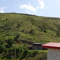شریک برای دامداری گوسفندی بخونید