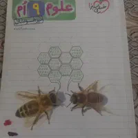 کتاب علوم نهم خیلی سبز