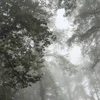 جذب نیرو خانم برای کارگاه بسته بندی خشکبار