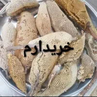 عسل میناب تک و عمده