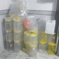 دبه ترشی و خیارشور