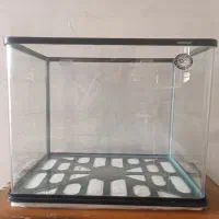 آکواریوم شرکتی mahiran قابدار