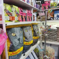 کنسرو سگ و گربه|لوازم جانبی حیوانات|تهران, ائمه اطهار|دیوار