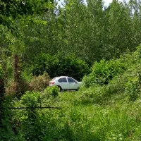 زمین باغی ۱۵۵۰ متر روستای لالم ضیابر فقط ۲میلیارد|فروش زمین و ملک کلنگی|ضیابر, |دیوار