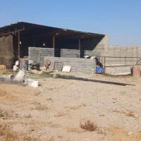 دامداری|فروش دفتر صنعتی، کشاورزی، تجاری|قوچان, |دیوار