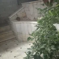 خانه اجاره ای120متر|اجارهٔ خانه و ویلا|قم, علی آباد سعدگان|دیوار