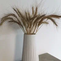 نیروی کار در کلینیک دندانپزشکی