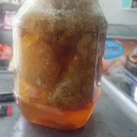 عسل کوهی وحشی ارسال به تمام نقاط کشور|خوردنی و آشامیدنی|فراشبند, |دیوار