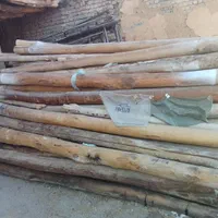 خرید چوب های خشک وتر با بهترین قیمت روز|خدمات باغبانی و درختکاری|دورود, |دیوار