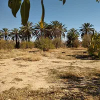 زمین خفر|فروش دفتر صنعتی، کشاورزی، تجاری|خفر, |دیوار