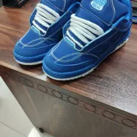 کتونی|کیف، کفش، کمربند|پیشوا, |دیوار