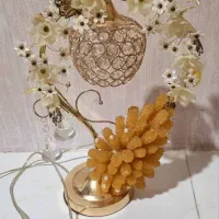 شاخه نبات چراغ دار