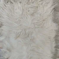 پوست گوسفند|صنایع دستی و سایر لوازم تزئینی|گناباد, |دیوار