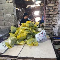 زغال لیمو و کبابی خودسوز|عمده‌فروشی|پاکدشت, پاکدشت (مامازند)|دیوار