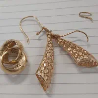 دو گوشواره به قیمت تابلو