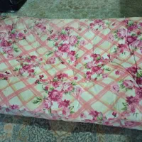 دشک پشمی.. نو نو دو عدد