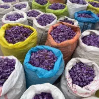 فروش گل ب صورت عمده