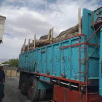 خریدار چوب به صورت نقدی در باسکول|خدمات باغبانی و درختکاری|شیروان (خراسان), |دیوار