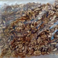 فروش گردو  و مغز صد در صد تویسرکان و اورگانیک|خوردنی و آشامیدنی|تهران, مرزداران|دیوار