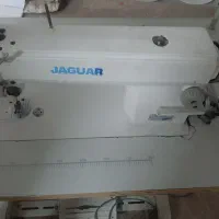 راسته دوز جگوار