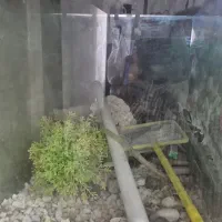 آکواریوم ۱۱۰در ۵۰ در ۴۰|ماهی|زنجان, |دیوار