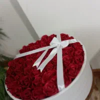 گل روبانی
