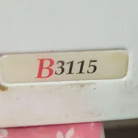 ابگرمکن بوتانB15