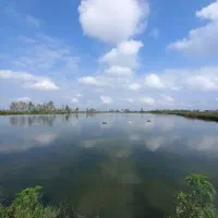 استخر / ماهی / ۴۰هکتاری /