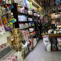 کلینیک دامپزشکی حیوانات خانگی و پت شاپ