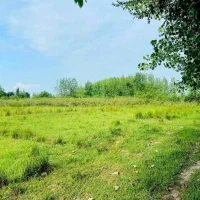 فروش زمین برا گردشگری با ۳۰میلیارد وام|فروش زمین و ملک کلنگی|شفت, |دیوار