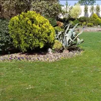 امورباغبانی و گل وگیاه|خدمات باغبانی و درختکاری|شیراز, پودنک|دیوار