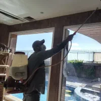 حذف وریشه کنی حشرات موذی فقط دریک مرحله باضمانت|خدمات نظافت|بومهن, |دیوار