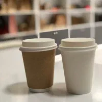 لیوان کاغذی|ظروف نگهدارنده، پلاستیکی، یکبارمصرف|باغستان, |دیوار