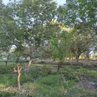 باغ خسرو شهر 437متر