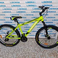 شهر دوچرخه با تنوع بالا|دوچرخه، اسکیت، اسکوتر|شیراز, محراب|دیوار