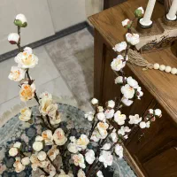 شاخه وارداتی شکوفه ژاپنی