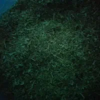 کاه لوبیاچیتی|لوازم جانبی حیوانات|لاران, |دیوار