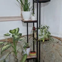 استند گلدان