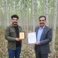 صنوبرکـاری، از زمین بلااستفاده تا سودهای کلان