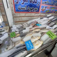 یخچال ماهی فروشی کفی شیب دار|فروشگاه و مغازه|تهران, ایران|دیوار