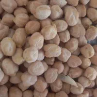 نخود گریت بهترین