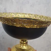 میوه خوری رنگ فورتیک ثابت