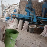 پسته کال و پ