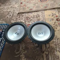 یک جفت میدرنج