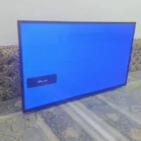 تلویزیون 55 دوو