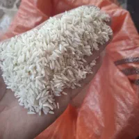 برنج هاشمی آستانه اشرفیه سورتینگ شده