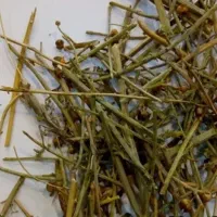 عشوت یا سیم اوتی