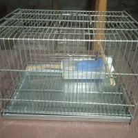 دوعددقفس پرنده