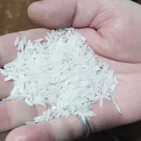 پخش برنج پاکستانی، تایلندی و هندی