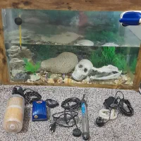 آکواریوم ماهی باتمام لوازم برقی و تزعینی|ماهی|نیشابور, مدرس|دیوار